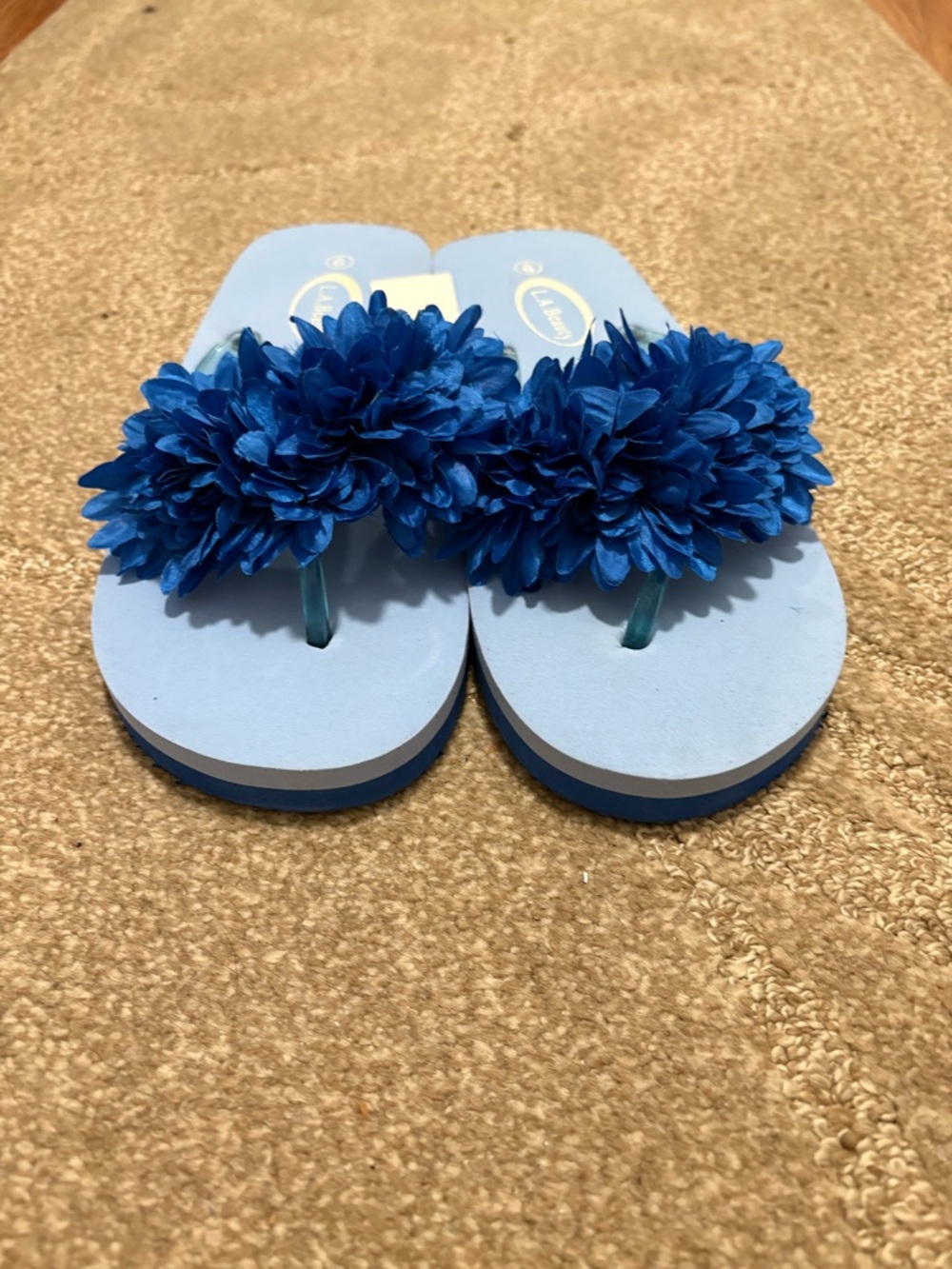 NWT Women’s Floral Blue Flip Flop Sandals